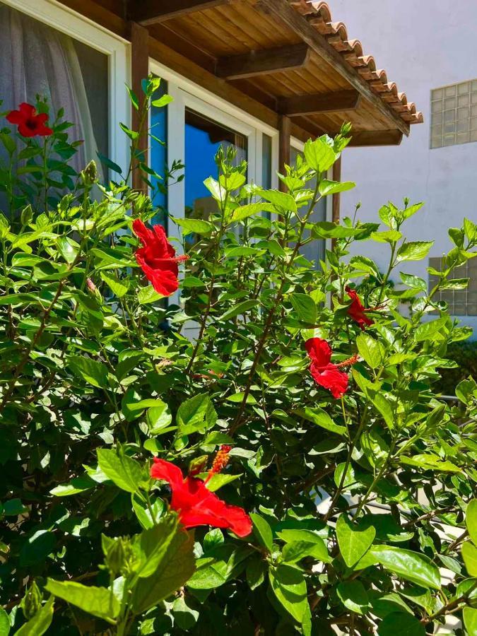 Cherrywood Creta Apartment إرابيترا المظهر الخارجي الصورة